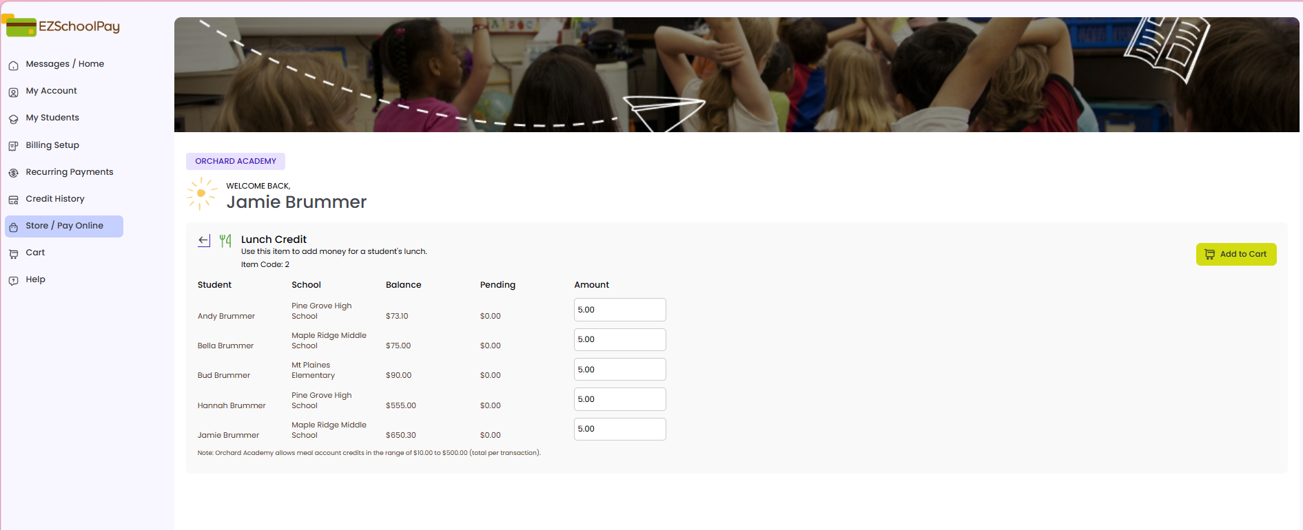 Store Pay Online Dashboard Transaction Details